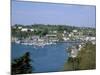 Kinsail Harbour, Kinsail, County Cork, Munster, Republic of Ireland (Eire)-Roy Rainford-Mounted Photographic Print