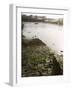 Kinsale, County Cork, Munster, Republic of Ireland (Eire), Europe-Robert Harding-Framed Photographic Print