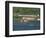 Kinsale, County Cork, Munster, Republic of Ireland, Europe-Lightfoot Jeremy-Framed Photographic Print