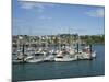 Kinsale Harbour, County Cork, Munster, Republic of Ireland, Europe-Harding Robert-Mounted Photographic Print