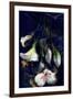 Kintsugi - Japanese Lily Flowers-Stella Chang-Framed Art Print