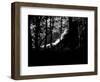 KINTYRE... PLUS. 17-Peter McClure-Framed Photographic Print