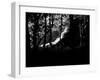 KINTYRE... PLUS. 17-Peter McClure-Framed Photographic Print