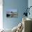 Kinvara, Galway Bay, County Galway, Connacht, Eire (Republic of Ireland)-Simon Harris-Stretched Canvas displayed on a wall