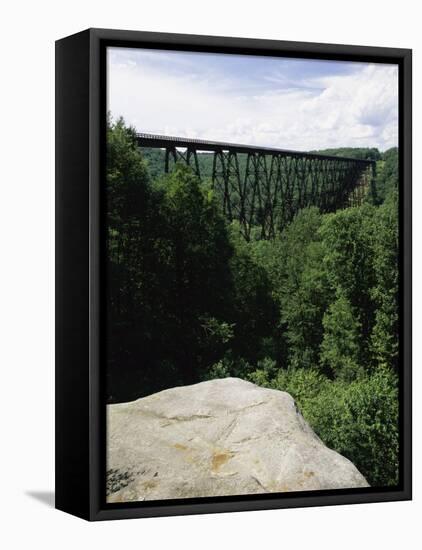 Kinzua Bridge State Park, Pennsylvania, USA-null-Framed Stretched Canvas