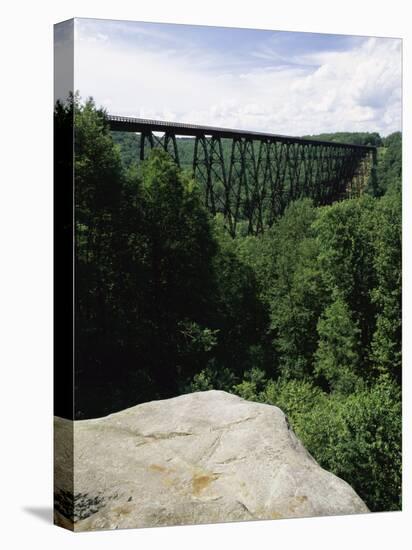 Kinzua Bridge State Park, Pennsylvania, USA-null-Stretched Canvas