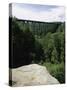 Kinzua Bridge State Park, Pennsylvania, USA-null-Stretched Canvas