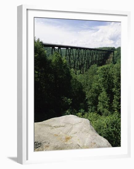 Kinzua Bridge State Park, Pennsylvania, USA-null-Framed Premium Photographic Print