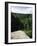 Kinzua Bridge State Park, Pennsylvania, USA-null-Framed Photographic Print