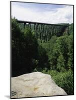 Kinzua Bridge State Park, Pennsylvania, USA-null-Mounted Photographic Print