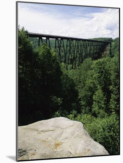 Kinzua Bridge State Park, Pennsylvania, USA-null-Mounted Photographic Print