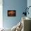 Kiraly Baths, Budapest, Hungary, Europe-Woolfitt Adam-Framed Stretched Canvas displayed on a wall