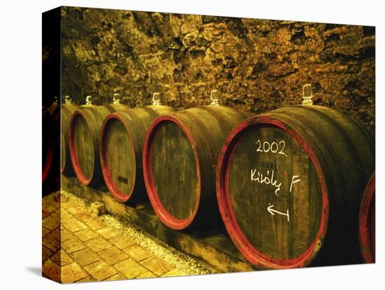 Kiralyudvar Winery Barrels with Tokaj Wine, Tokaj, Hungary-Per Karlsson-Stretched Canvas