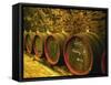 Kiralyudvar Winery Barrels with Tokaj Wine, Tokaj, Hungary-Per Karlsson-Framed Stretched Canvas