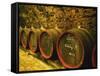 Kiralyudvar Winery Barrels with Tokaj Wine, Tokaj, Hungary-Per Karlsson-Framed Stretched Canvas