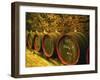 Kiralyudvar Winery Barrels with Tokaj Wine, Tokaj, Hungary-Per Karlsson-Framed Premium Photographic Print