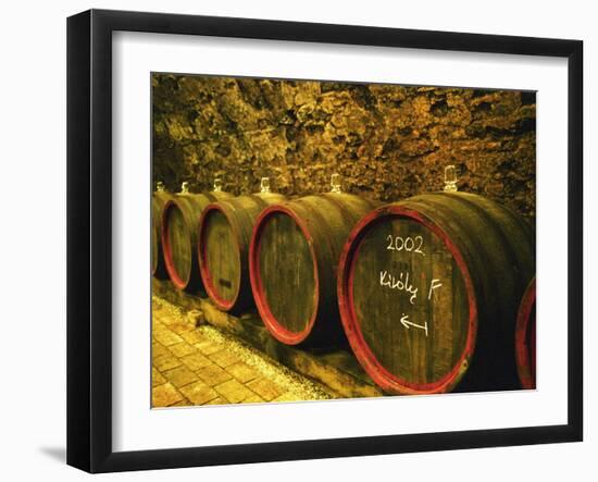 Kiralyudvar Winery Barrels with Tokaj Wine, Tokaj, Hungary-Per Karlsson-Framed Premium Photographic Print