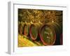 Kiralyudvar Winery Barrels with Tokaj Wine, Tokaj, Hungary-Per Karlsson-Framed Premium Photographic Print
