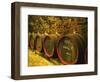 Kiralyudvar Winery Barrels with Tokaj Wine, Tokaj, Hungary-Per Karlsson-Framed Photographic Print