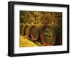 Kiralyudvar Winery Barrels with Tokaj Wine, Tokaj, Hungary-Per Karlsson-Framed Photographic Print