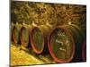 Kiralyudvar Winery Barrels with Tokaj Wine, Tokaj, Hungary-Per Karlsson-Mounted Photographic Print
