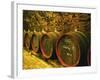 Kiralyudvar Winery Barrels with Tokaj Wine, Tokaj, Hungary-Per Karlsson-Framed Photographic Print