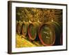 Kiralyudvar Winery Barrels with Tokaj Wine, Tokaj, Hungary-Per Karlsson-Framed Photographic Print