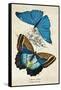 Kirby Butterflies II-Christine Zalewski-Framed Stretched Canvas