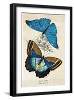 Kirby Butterflies II-Christine Zalewski-Framed Art Print