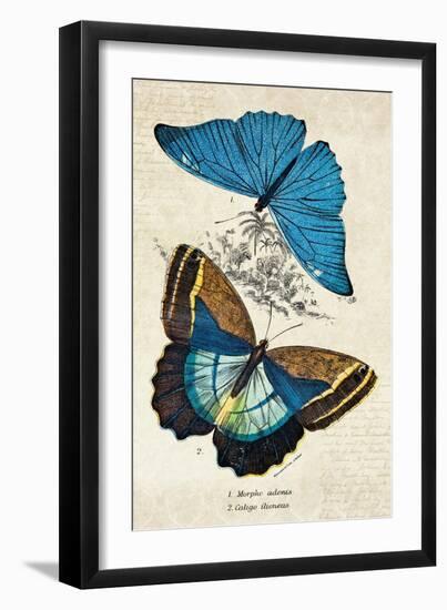 Kirby Butterflies II-Christine Zalewski-Framed Art Print