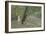 Kirchenallee in St. Georg, Hamburg-Max Liebermann-Framed Giclee Print