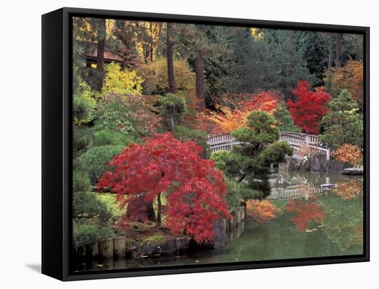 Kiri Pond and Bridge in a Japanese Garden, Spokane, Washington, USA-Jamie & Judy Wild-Framed Stretched Canvas