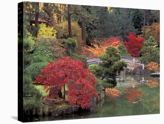 Kiri Pond and Bridge in a Japanese Garden, Spokane, Washington, USA-Jamie & Judy Wild-Stretched Canvas