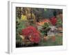 Kiri Pond and Bridge in a Japanese Garden, Spokane, Washington, USA-Jamie & Judy Wild-Framed Photographic Print