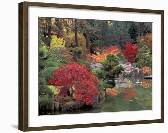 Kiri Pond and Bridge in a Japanese Garden, Spokane, Washington, USA-Jamie & Judy Wild-Framed Photographic Print