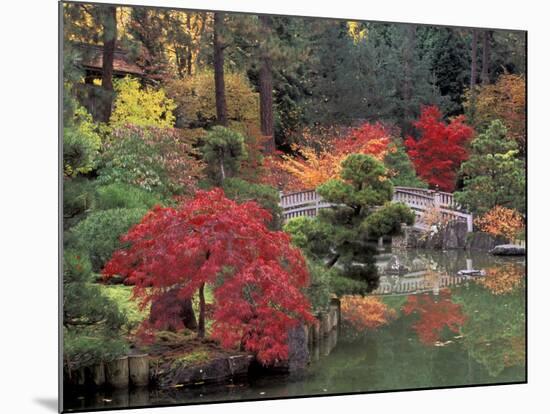 Kiri Pond and Bridge in a Japanese Garden, Spokane, Washington, USA-Jamie & Judy Wild-Mounted Photographic Print