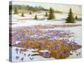 Stretched Canvas