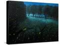 Stretched Canvas
