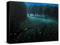Stretched Canvas
