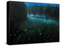 Stretched Canvas