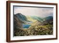 Brown Frame
