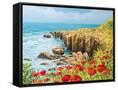 Canvas Black