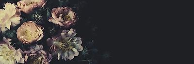 Vintage Bouquet of Beautiful Peonies on Black. Floristic Decoration ...