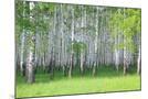 Wood Mount