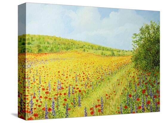 Stretched Canvas Print, , large