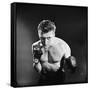 Kirk Douglas, Champion, 1949-null-Framed Stretched Canvas
