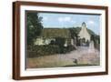 Brown Frame