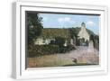 White Frame