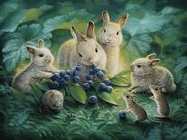 Snuggle Bunnies-Kirk Reinert-Framed Giclee Print