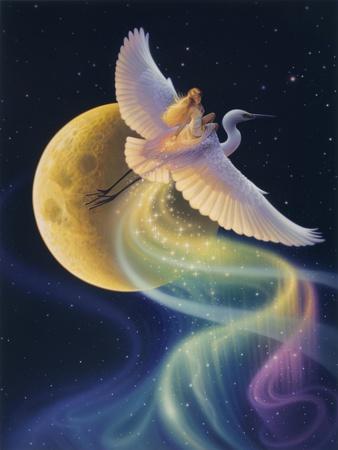 Reinert, Kirk Wall Art at AllPosters.com